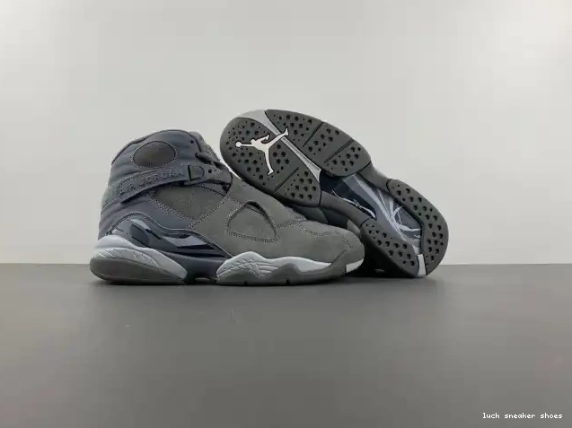 Rep LY Retro Grey 8 305381-014 Jordan Cool 0223