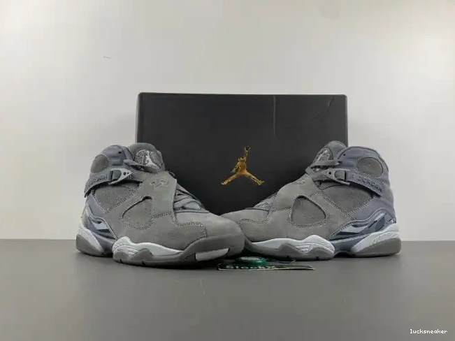 Rep LY 8 305381-014 Jordan Cool Retro Grey 0224