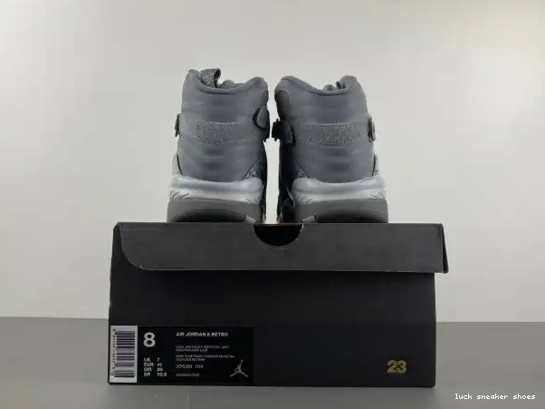 Rep LY Retro Grey 8 305381-014 Jordan Cool 0223