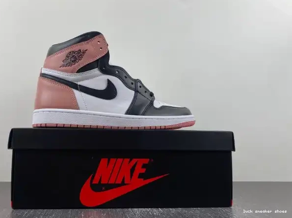 Reps LY Nrg 1 Rust Pink Jordan High Og 861428-101 Air Retro 0208