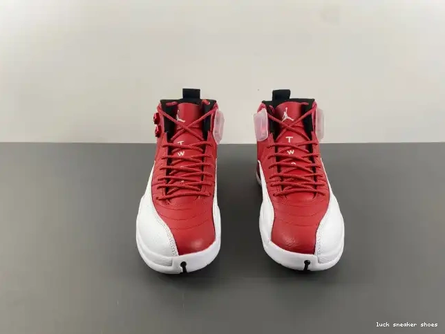 Rep LY 130690-600 Alternate Air Jordan 12 0214