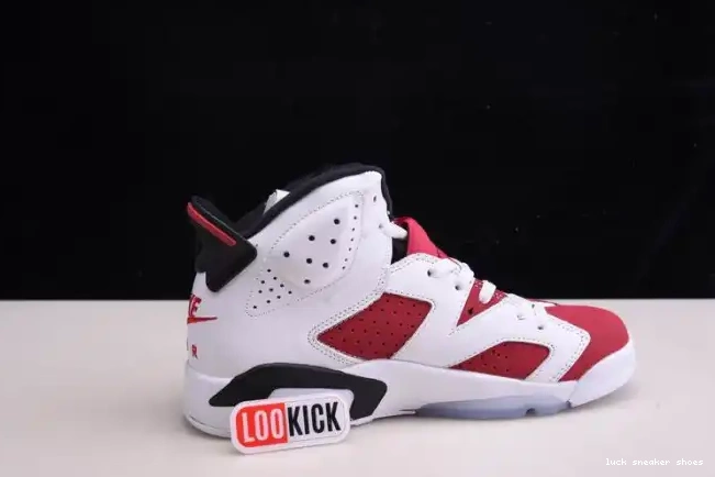 Cheap LY 2021 JORDAN RETRO 'CARMINE' 6 CT8529-106 AIR 0215