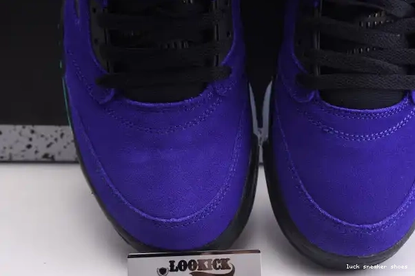 Rep LY Grape 5 136027-500 Air Jordan Alternate Retro 0221