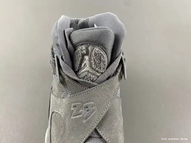 Rep LY Retro Grey 8 305381-014 Jordan Cool 0223