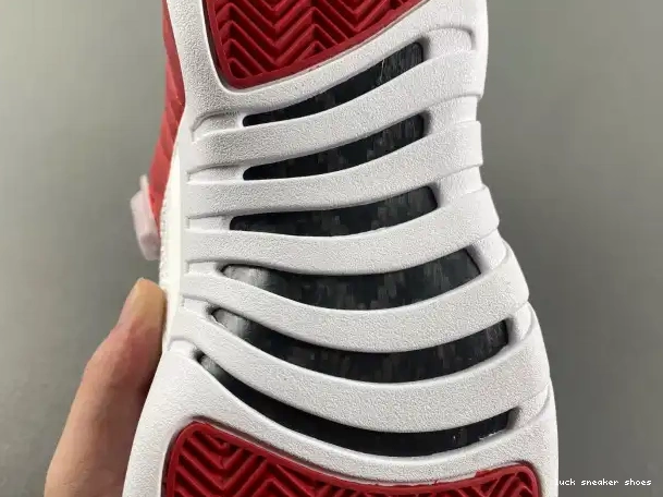 Rep LY 130690-600 Alternate Air Jordan 12 0214