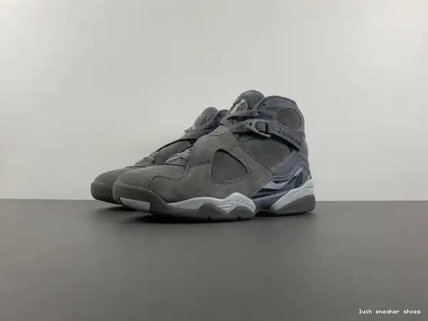 Rep LY Retro Grey 8 305381-014 Jordan Cool 0223