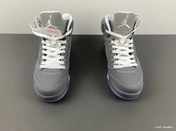 Cheap LY 136027-005 Retro Wolf Jordan 5 Grey Air 0216