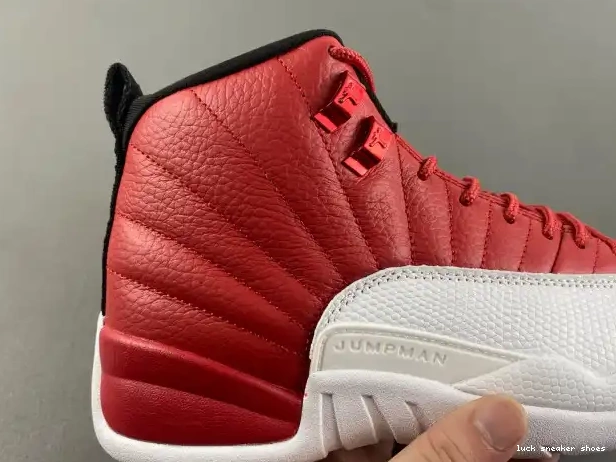 Rep LY 130690-600 Alternate Air Jordan 12 0214