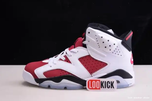 Cheap LY 2021 JORDAN RETRO 'CARMINE' 6 CT8529-106 AIR 0215