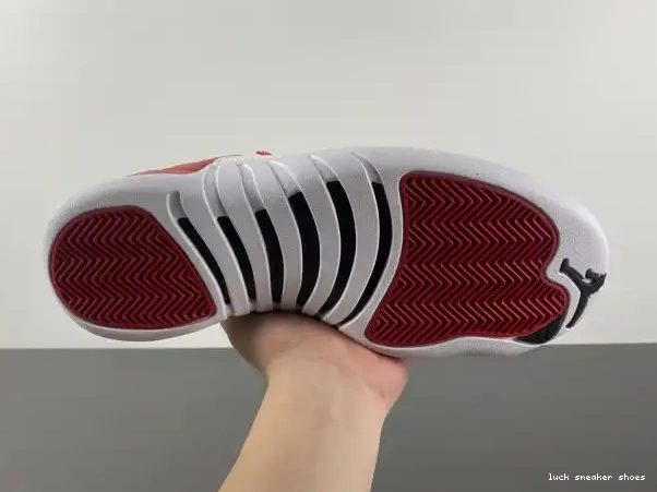 Rep LY 130690-600 Alternate Air Jordan 12 0214