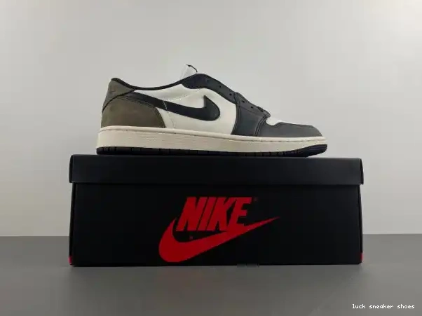 Rep LY 1 CZ0790-102 Jordan OG Low Mocha Air 0226