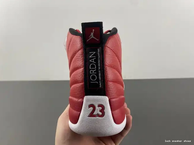 Rep LY 130690-600 Alternate Air Jordan 12 0214