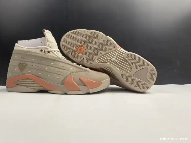 Rep LY Retro Low 14 Clot DC9857-200 Terra AIR Jordan Blush 0225