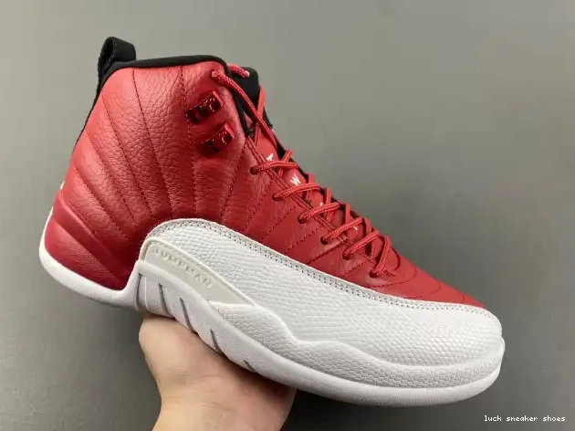 Rep LY 130690-600 Alternate Air Jordan 12 0214