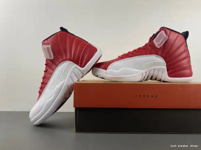 Rep LY 130690-600 Alternate Air Jordan 12 0214