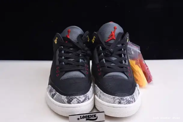 Cheap LY CV3583-003 Air 3 SE Jordan 2.0 Retro - Instinct Animal 0223