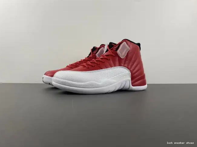 Rep LY 130690-600 Alternate Air Jordan 12 0214