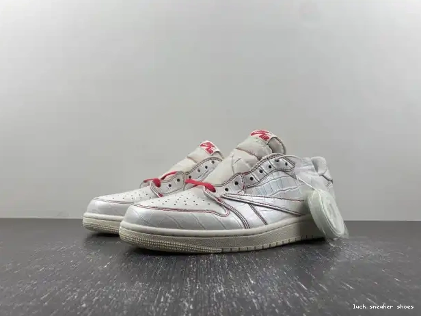 Reps LY Low DM7866-601 Travis Jordan x 1 OG Scott Air 0223