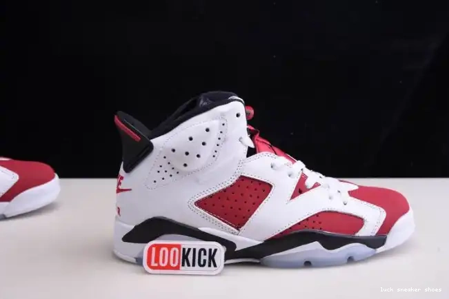 Cheap LY 2021 JORDAN RETRO 'CARMINE' 6 CT8529-106 AIR 0215