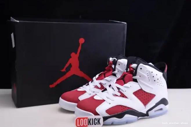 Cheap LY 2021 JORDAN RETRO 'CARMINE' 6 CT8529-106 AIR 0215