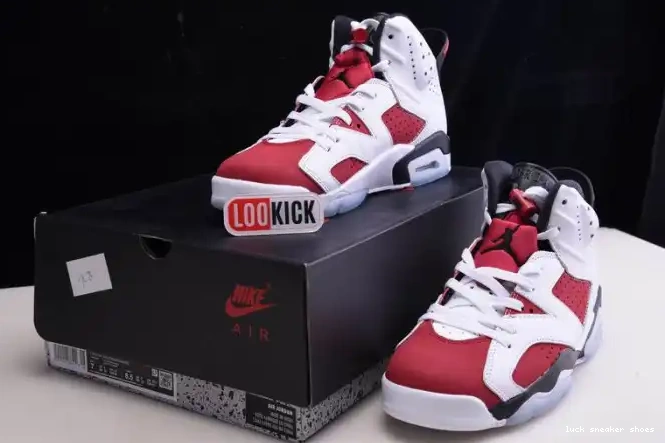 Cheap LY 2021 JORDAN RETRO 'CARMINE' 6 CT8529-106 AIR 0215