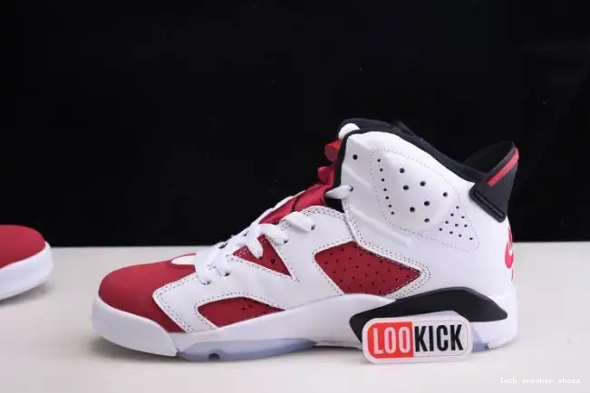 Cheap LY 2021 JORDAN RETRO 'CARMINE' 6 CT8529-106 AIR 0215