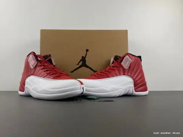 Rep LY 130690-600 Alternate Air Jordan 12 0214