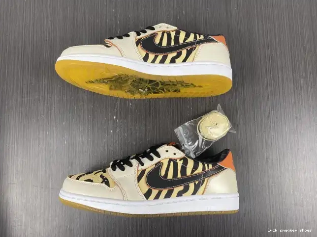 Reps LY Jordan of Low the DH6932-100 Tiger OG 1 Year Air 0215