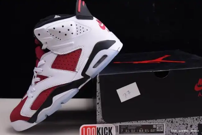 Cheap LY 2021 JORDAN RETRO 'CARMINE' 6 CT8529-106 AIR 0215