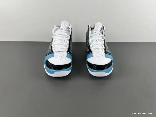 Cheap LY 23 318376-041 UNC Jordan 0216