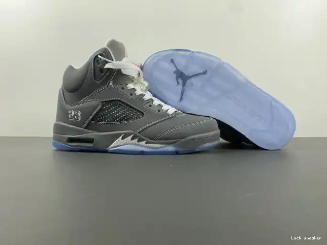 Cheap LY 136027-005 Retro Wolf Jordan 5 Grey Air 0216