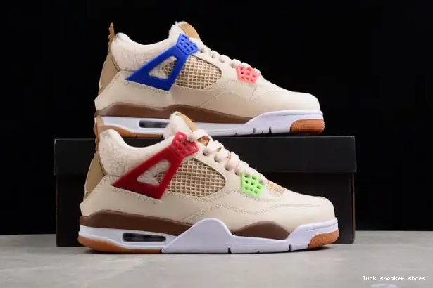 Cheap LY (GS) Jordan 4 Are the Where Wild Things Retro DH0572-264 0303