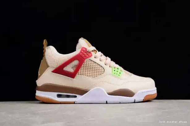 Cheap LY (GS) Jordan 4 Are the Where Wild Things Retro DH0572-264 0303